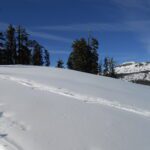 snow, donner summit, winter hiking, snowshoeing