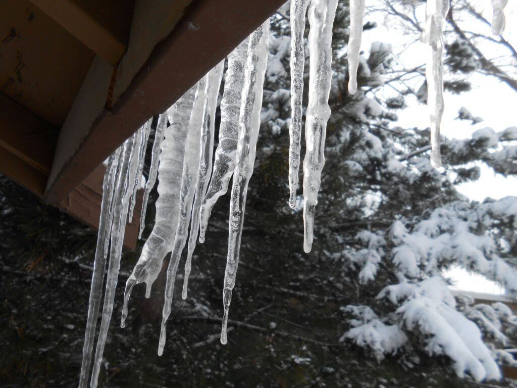 2025 Winter Break Support