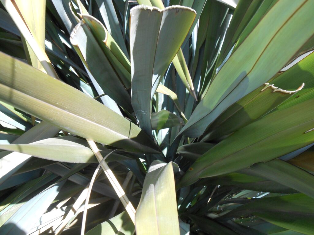 My Teaching Methodology