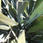 My Teaching Methodology