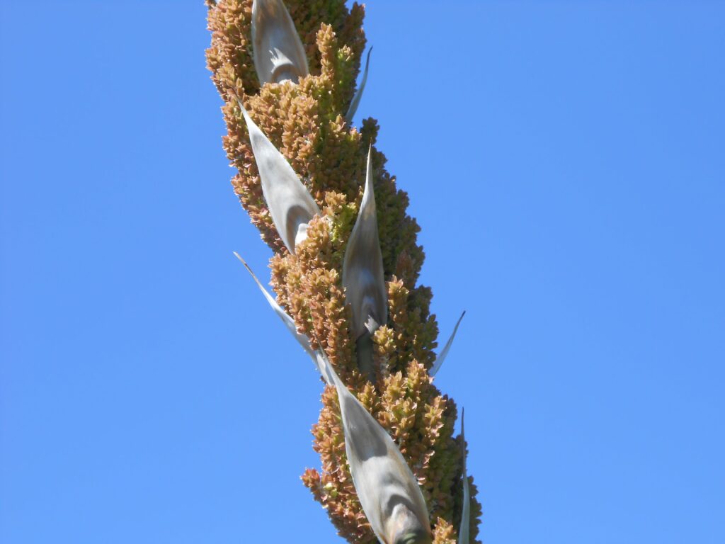 How to Become a Better Spiritual Parent