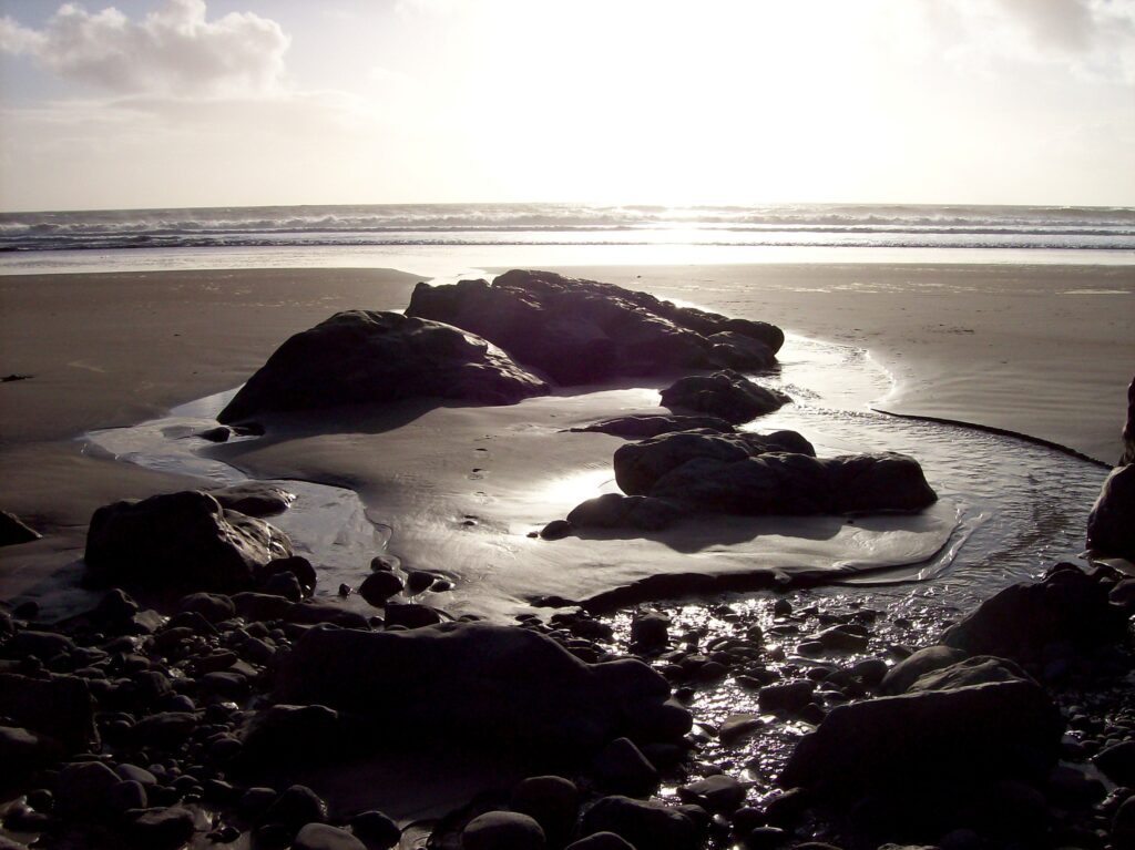 Disease Identities: How Sickness Has Become Ego